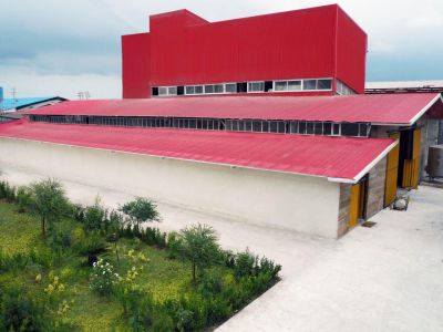 فروش کارخانه صنایع غذایی دام طیور آبزیان (دان پلت،کنسانتره و..) در مازندران0