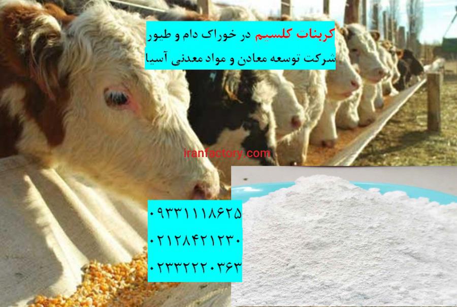 فروش کربنات کلسیم در خوراک دام و طیور0