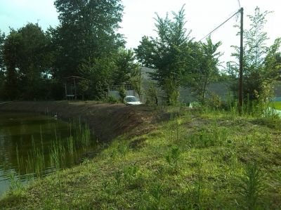 مجموعه پرورش ماهی و طیور و دام در رشت4