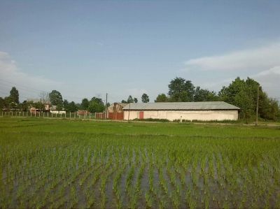 مجموعه پرورش ماهی و طیور و دام در رشت2