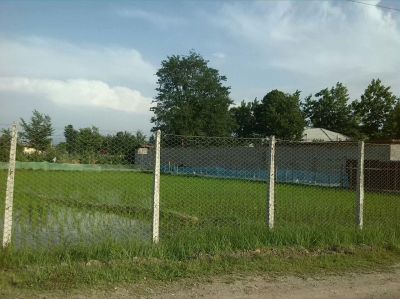 مجموعه پرورش ماهی و طیور و دام در رشت3