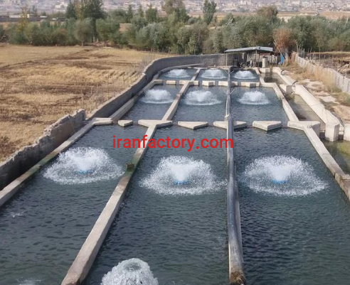 فروش 3000 متر کارگاه شیلات پرورش ماهی قزل در لردگان2