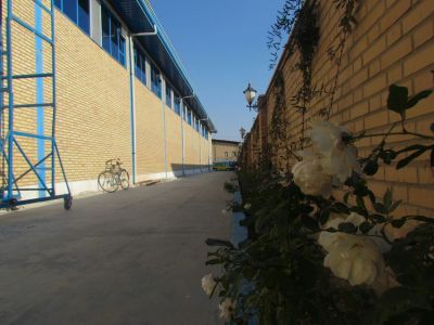 فروش و اجاره کارخانه مواد غذایی در تهران_خریدسوله غذایی_اجاره سوله غذایی در عباس اباد13