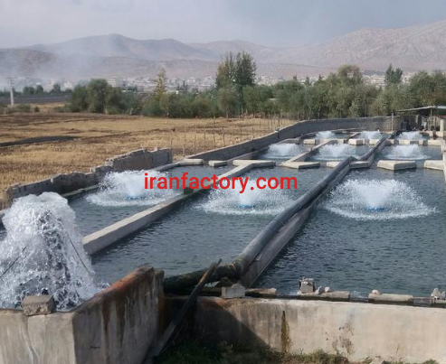 فروش 3000 متر کارگاه شیلات پرورش ماهی قزل در لردگان0