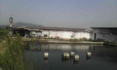 فروش مرغداری و استخر ماهی در رودسر-فروش استخر پرورش ماهی0