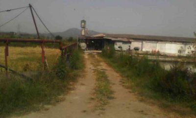 فروش مرغداری و استخر ماهی در رودسر-فروش استخر پرورش ماهی1