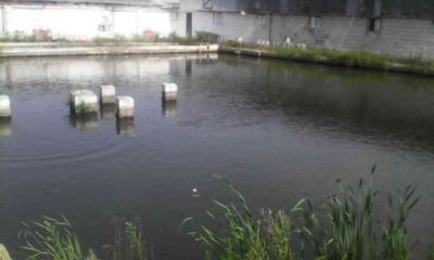 فروش مرغداری و استخر ماهی در رودسر-فروش استخر پرورش ماهی2