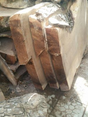 مرکز فروش چوب گردوی سنندج2
