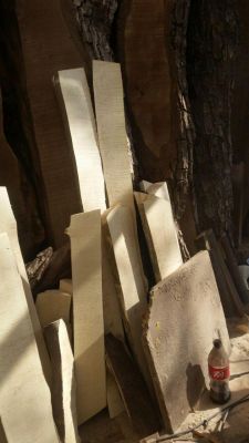 مرکز فروش چوب نارنج شیراز4