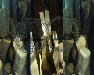 مرکز فروش چوب نارنج شیراز0