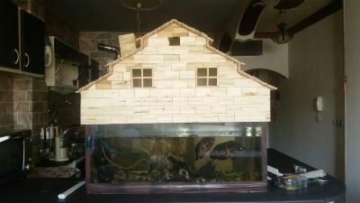 تولید انواع کلبه آکواریوم با چوب طبیعی2