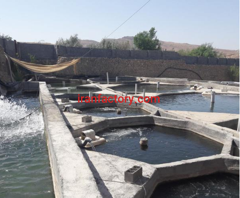 فروش 2000 متر مزرعه پرورش ماهی قزل آلا در شیروان4