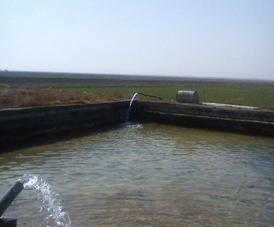 زمین کشاورزی در کرج_کشاورزی کرج_0