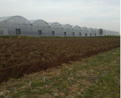 فروش گلخانه مجهز در نظرآباد کرج_گلخانه در کرج2