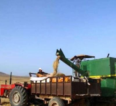 فروش زمین کشاورزی در کرج0