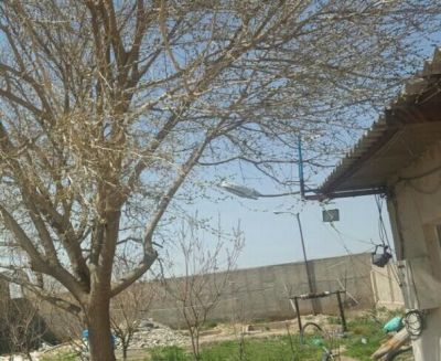 فروش زمین کشاورزی همراه با دامداری در کرج1