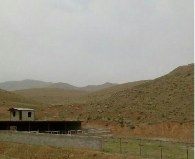 فروش گاوداری با موقعیت عالی در کرج2