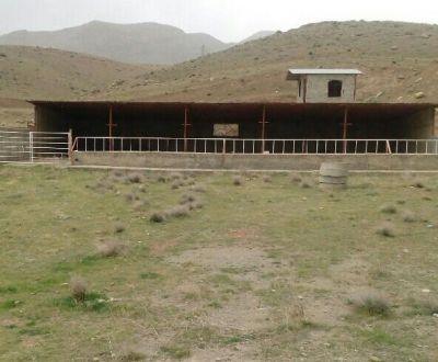 فروش گاوداری با موقعیت عالی در کرج1