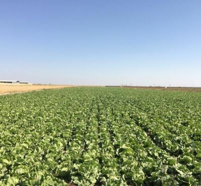 فروش زمین کشاورزی  40 هکتار در تهران0