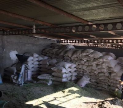 فروش گاوداری ٥٠ راسی پرواری در قزوین1