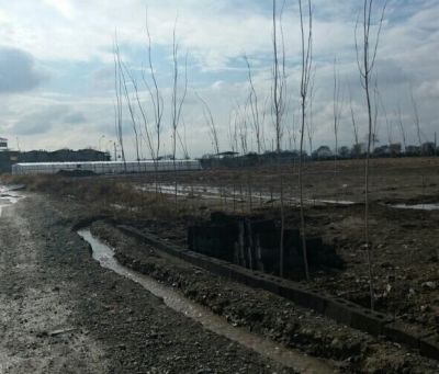 فروش زمین صنعتی ۲۸۰متر در تهران1