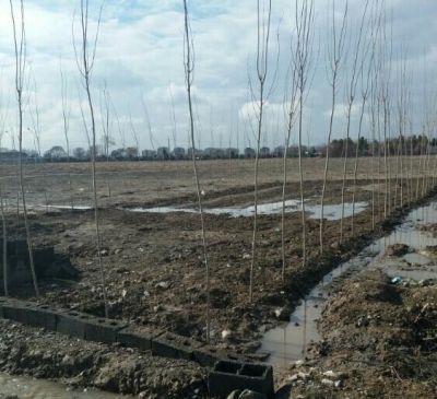 فروش زمین صنعتی ۲۸۰متر در تهران0