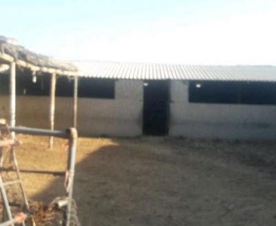 فروش دامداری ۷۰۰ متری در تهران0