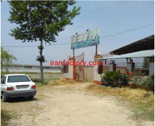 فروش 500 متر استخر پرورش ماهی در ساری4