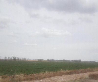 فروش زمین زراعی به همراه یک گاوداری در کرج1