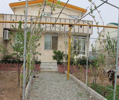 فروش گلخانه فعال در صفادشت تهران1