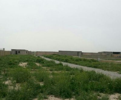فروش زمین آماده دامداری در تهران1