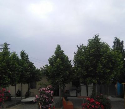 فروش زمین صنعتی دارای بنا در تهران0