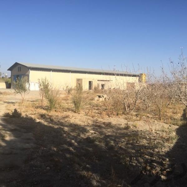 فروش کارخانه در صفادشت0