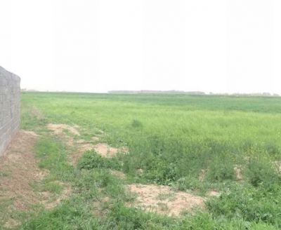 فروش زمین کشاورزی در تهران2