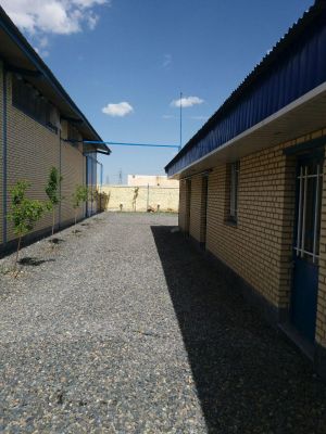 فروش کارخانه دستمال کاغذی1