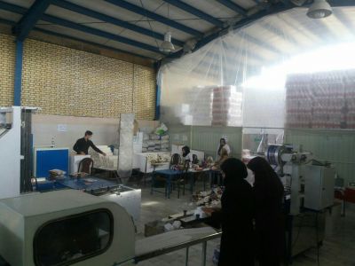 فروش کارخانه دستمال کاغذی3