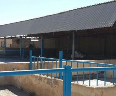 فروش گاوداری و زمین کشاورزی در کرج0