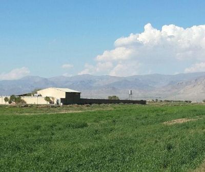 فروش گاوداری و زمین کشاورزی در کرج1