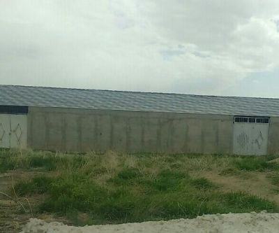 فروش دامداری در کرج_دامداری در کرج0