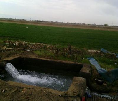 فروش زمین کشاورزی با سهمیه آب در کرج0