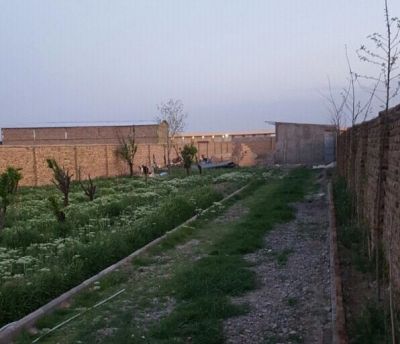 فروش گاوداری پرواری ۵۰ راسی با ویلا در کرج1