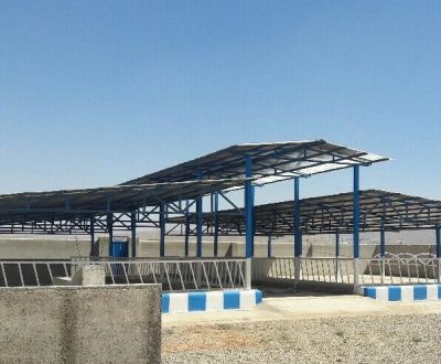 اجاره گاوداری پرواری در تهران1