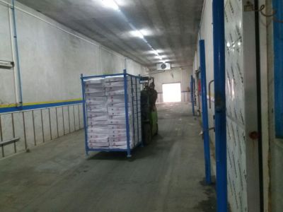 اجاره و فروش سردخانه با ظرفیت 6000 تن دو مداره0