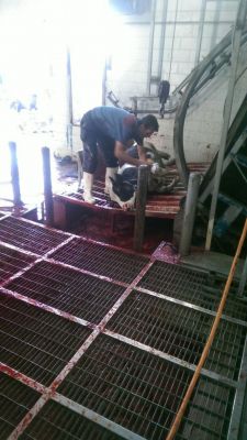 فروش ران دست گاو ماده به صورت عمده و ارزان قیمت0