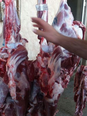 فروشنده راسته گوسفند ارگانیک با کیفیت 0