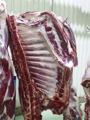 فروشنده ماهیچه صادراتی ارگانیک0