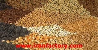 فروش کارخانه خوراک دام و طیور در سبزوار فروش کارخانه خوراک دام و طیور در خراسان0