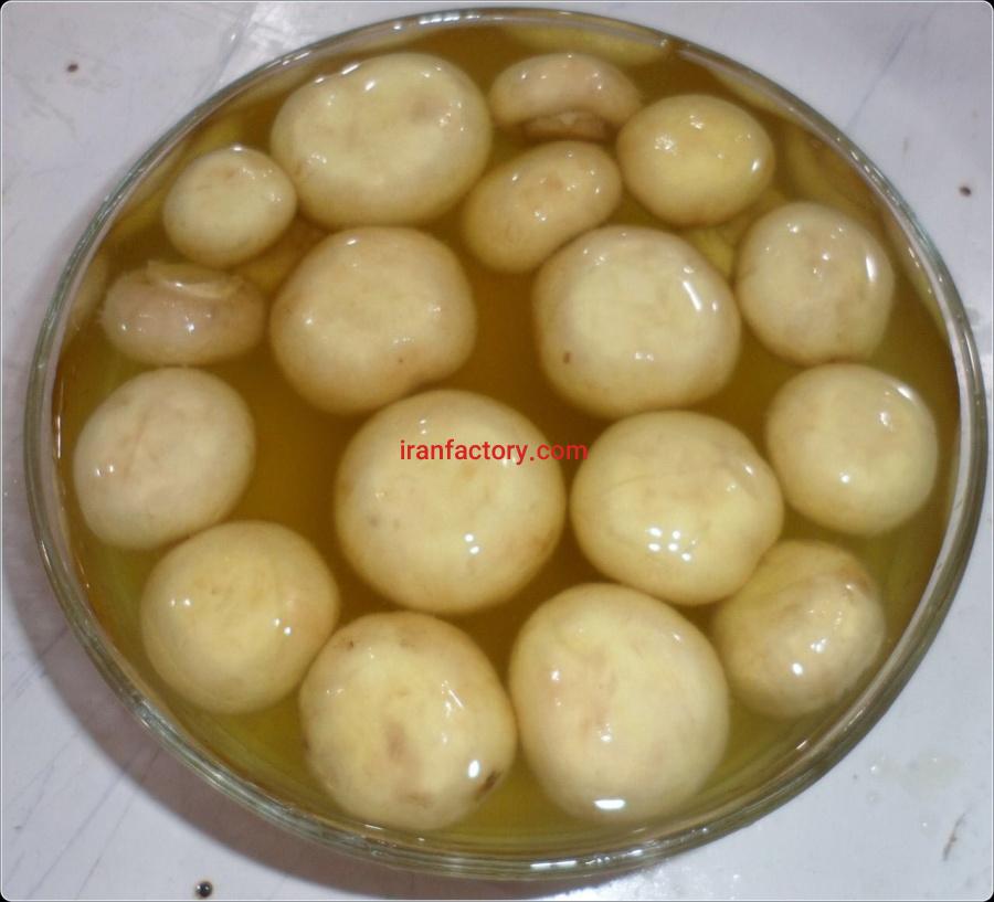 فروش کارخانه فرآورده سازی قارچ خوراکی در مشهد5