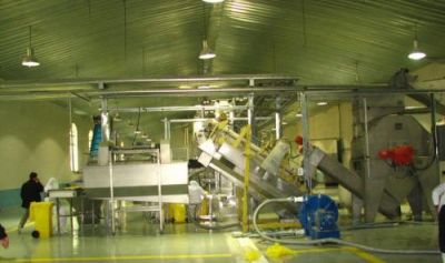 فروش خط تولید سیب زمینی نیمه آماده french fries1