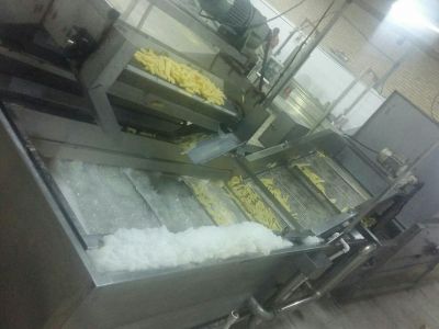 فروش خط تولید سیب زمینی نیمه آماده french fries2